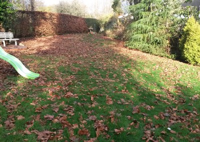 Clearing Garden Leaves