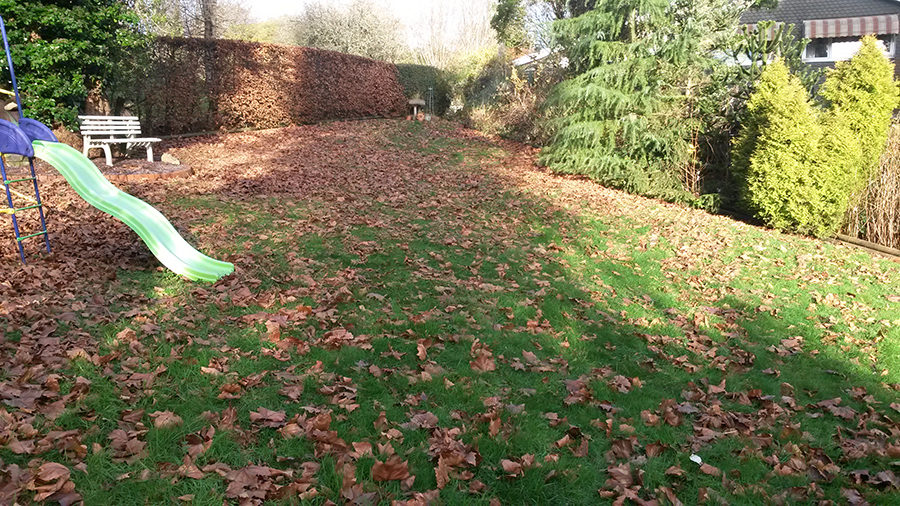 Clearing Garden Leaves