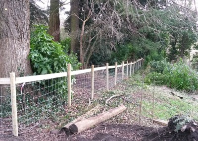 Livestock Fencing and Gate